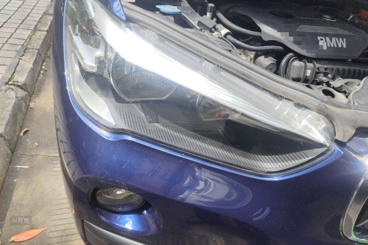 BMW X1 2019 car image #8