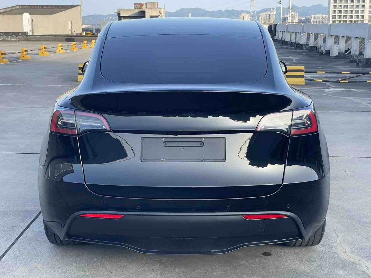 Tesla Model Y 2023 car image #6