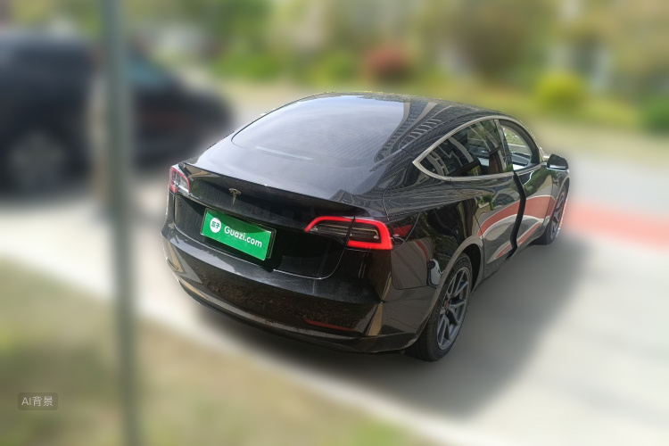 Tesla Model 3 2020 car image #7
