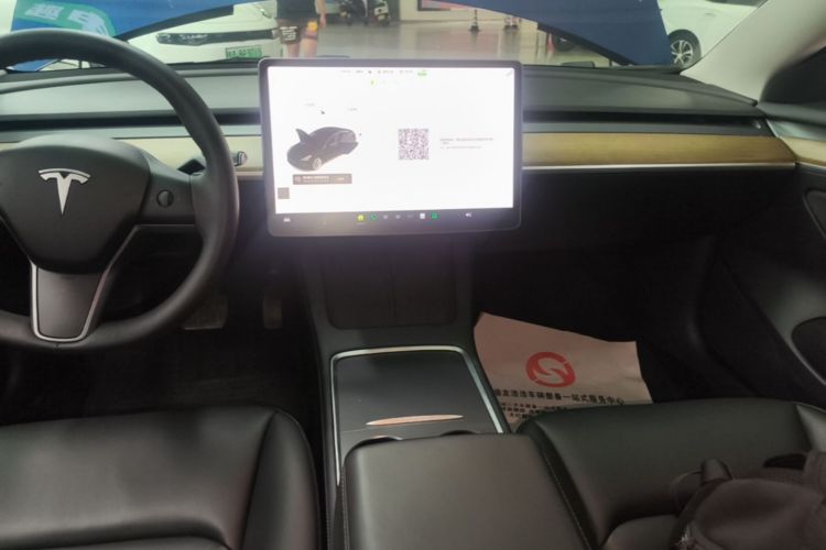 Tesla Model 3 2021 car image #13