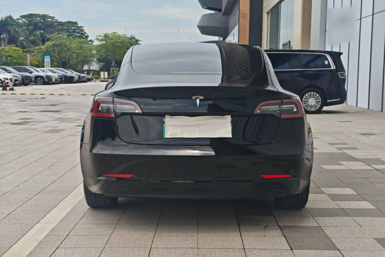 Tesla Model 3 2020 car image #12