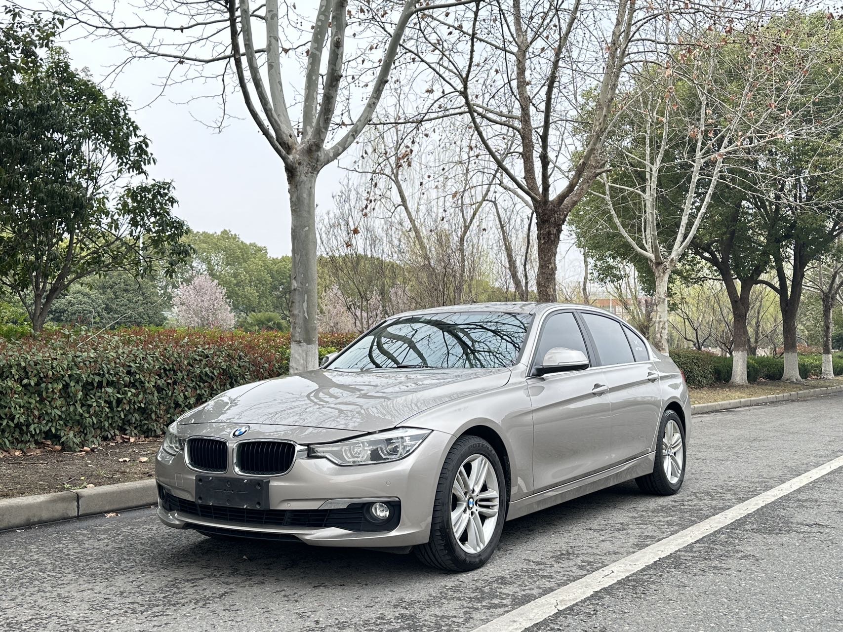 BMW 3 Series 2017 BMW 3 Series 2017 car image