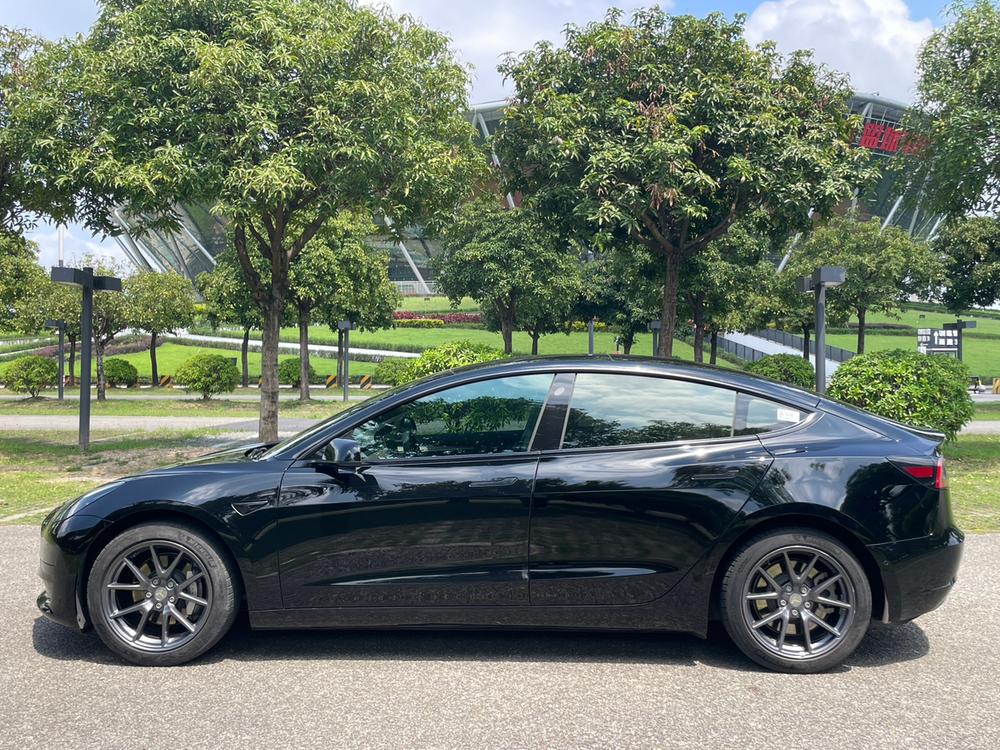 Tesla Model 3 2021 #2 Tesla Model 3 2021 car image #2