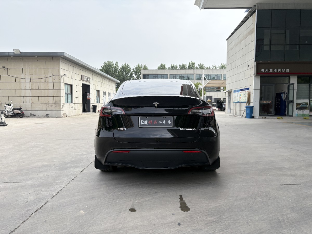 Tesla Model Y 2023 #8 Tesla Model Y 2023 car image #8