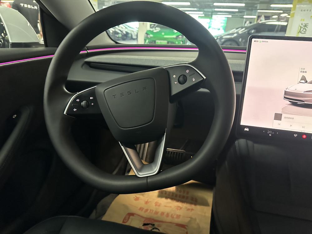 Tesla Model 3 2024 immagine di auto #11