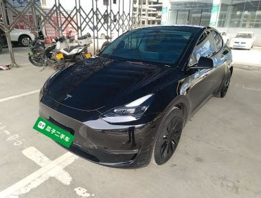 Tesla Model Y 2021 car image 