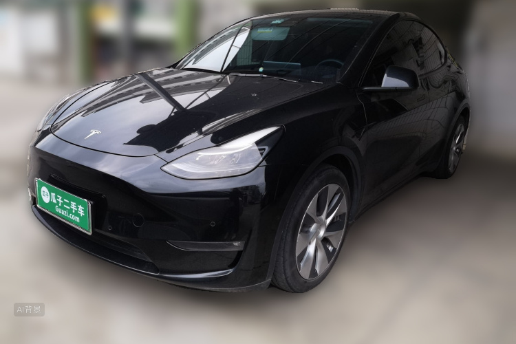 Tesla Model Y 2021 #2 Tesla Model Y 2021 car image #2