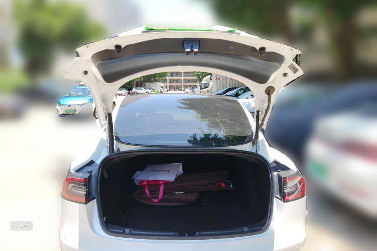 Tesla Model 3 2021 #21 Tesla Model 3 2021 car image #21