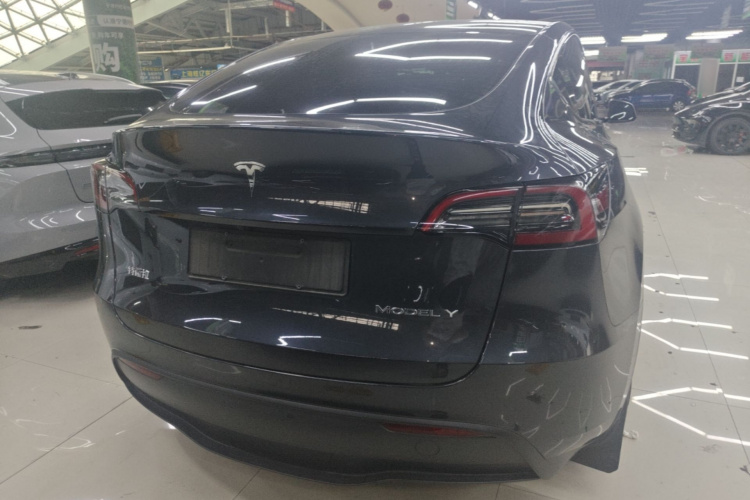Tesla Model Y 2024 car image #6