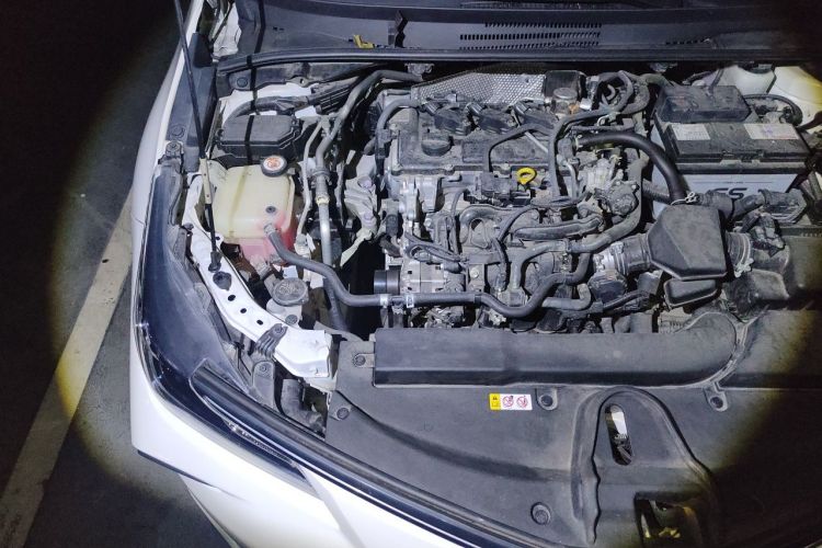 Toyota Corolla 2022 car image #22