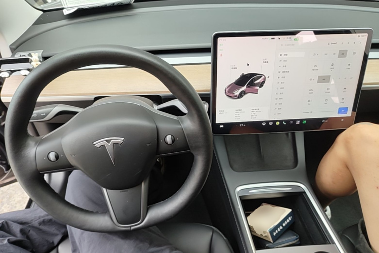 Tesla Model 3 2021 #10 Tesla Model 3 2021 car image #10