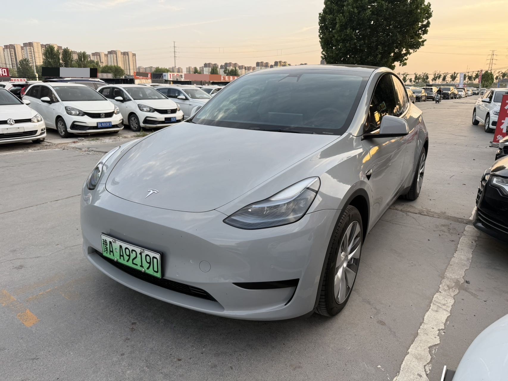Tesla Model Y 2023 car image 