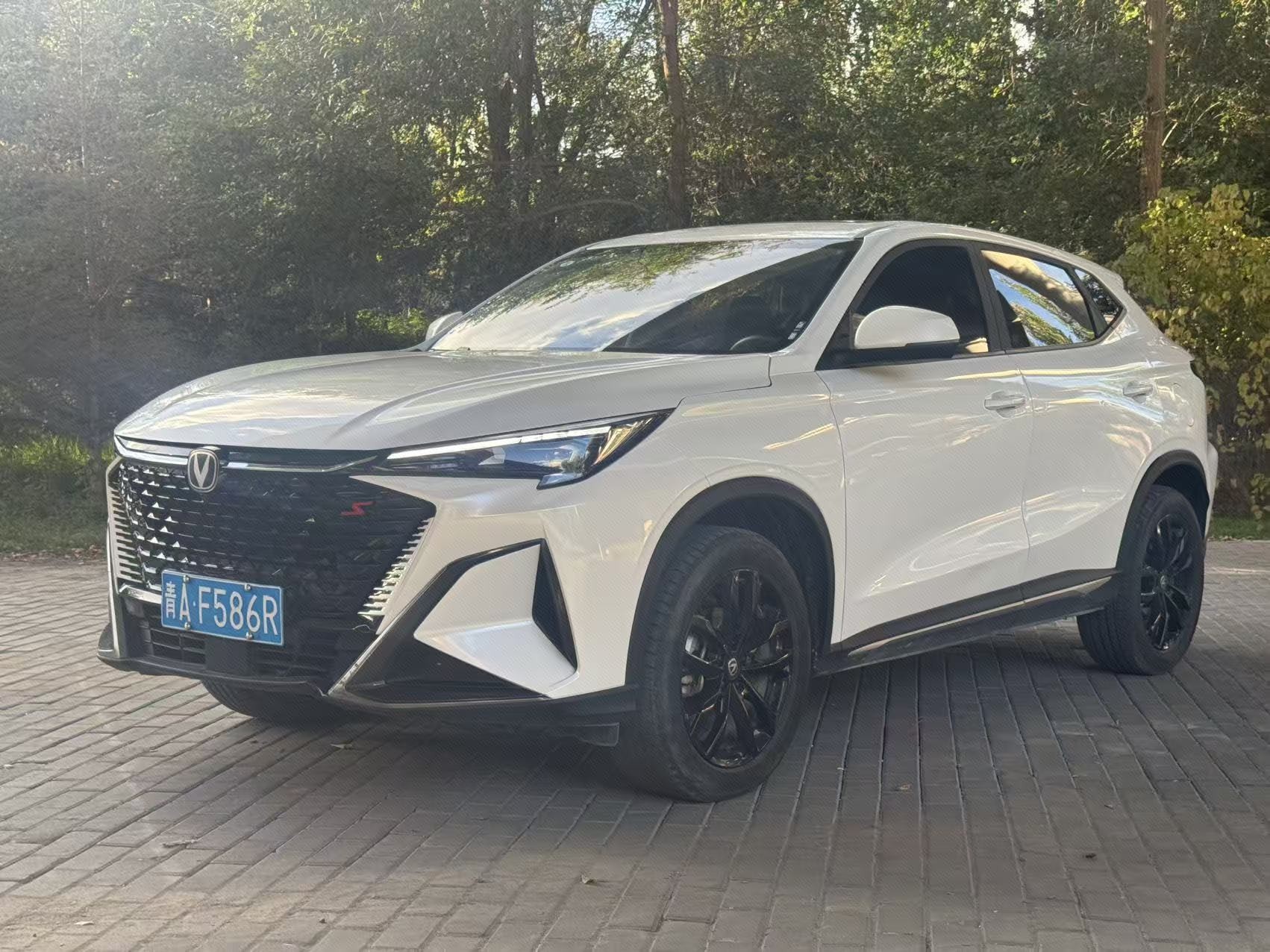 长安 长安X5 PLUS 2024 汽车图片 