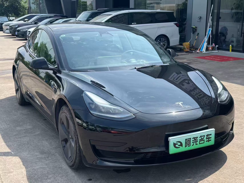 Tesla Model 3 2021 immagine di auto #3