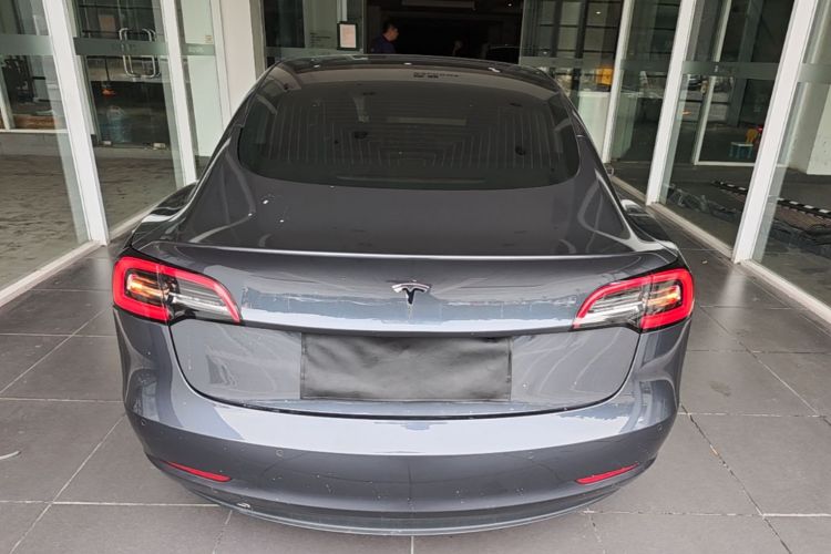 Tesla Model 3 2020 car image #6