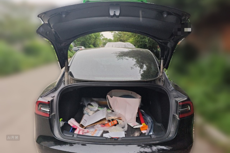 Tesla Model 3 2022 car image #21
