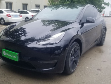 Tesla Model Y 2021 Tesla Model Y 2021 car image