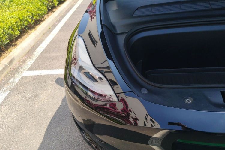 Tesla Model Y 2023 #24 Tesla Model Y 2023 car image #24
