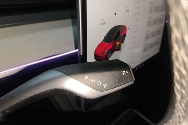 Tesla Model Y 2024 car image #14