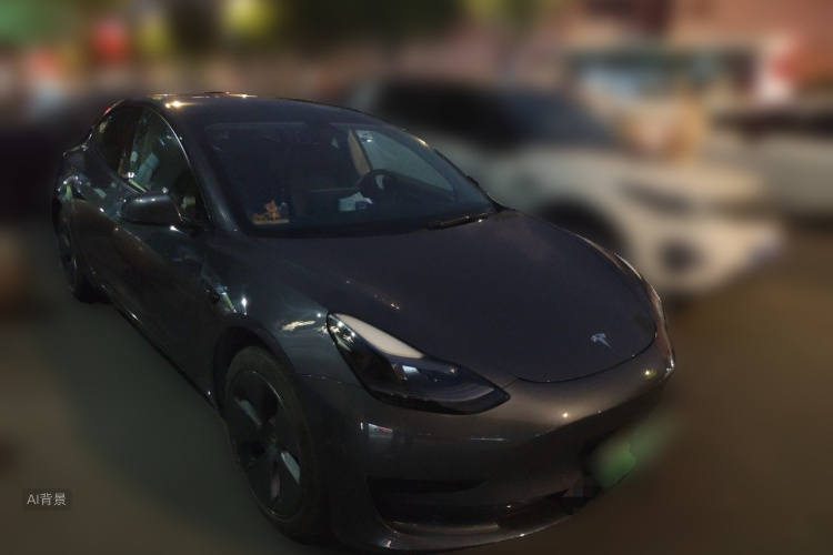 Tesla Model 3 2021 car image #4