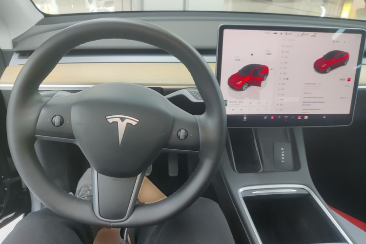 Tesla Model Y 2023 car image #10