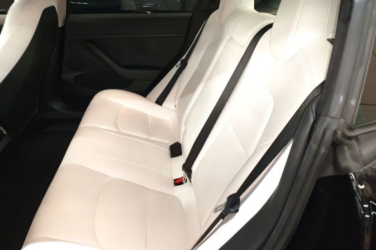 Tesla Model 3 2021 #17 Tesla Model 3 2021 car image #17