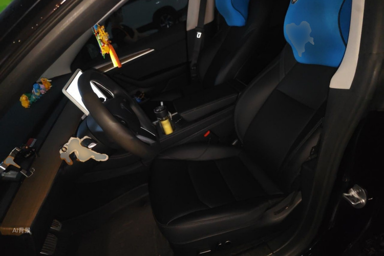 Tesla Model 3 2023 car image #17