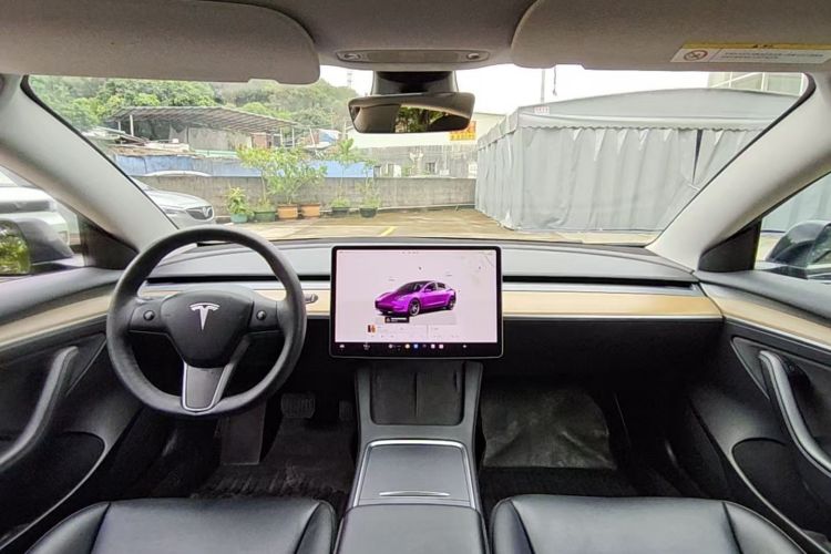 Tesla Model 3 2021 immagine di auto #18