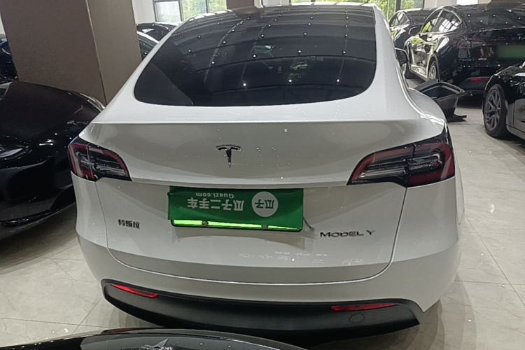 Tesla Model Y 2024 car image #6