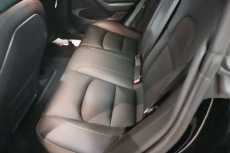 Tesla Model 3 2021 car image #17