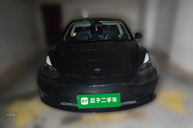 Tesla Model 3 2021 #3 Tesla Model 3 2021 car image #3