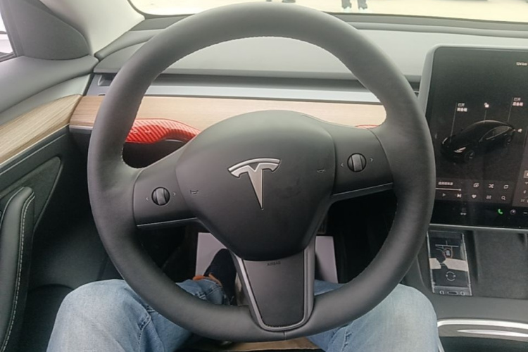 Tesla Model 3 2023 car image #11