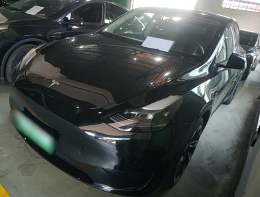 Tesla Model Y 2022 Tesla Model Y 2022 car image