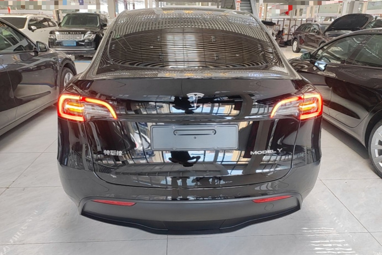 Tesla Model Y 2023 #6 Tesla Model Y 2023 car image #6