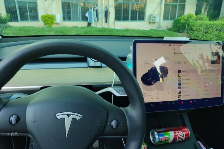 Tesla Model Y 2022 car image #13