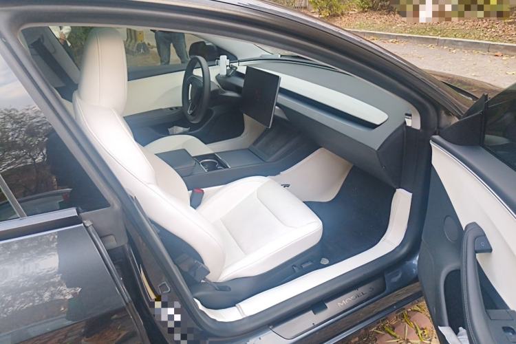 Tesla Model 3 2024 imagem de carro #21