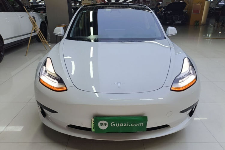 Tesla Model 3 2020 #3 Tesla Model 3 2020 car image #3