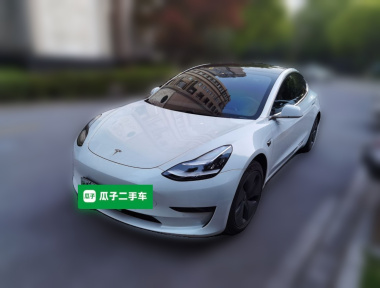 Tesla Model 3 2020 Tesla Model 3 2020 car image