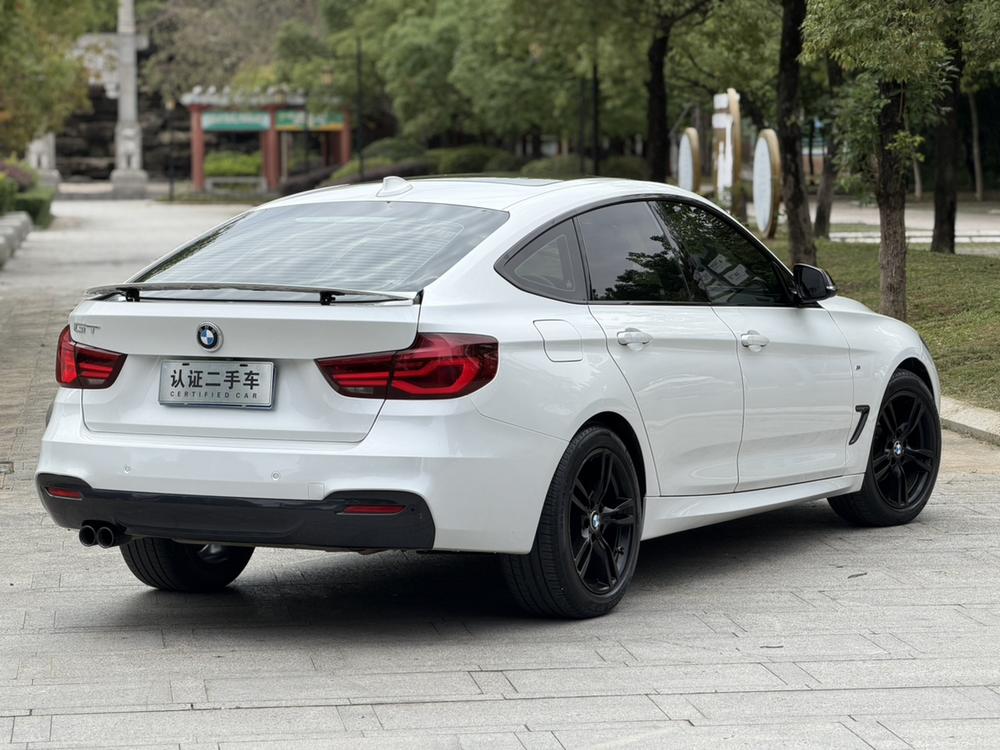 BMW 3 Series GT 2019 car image #6