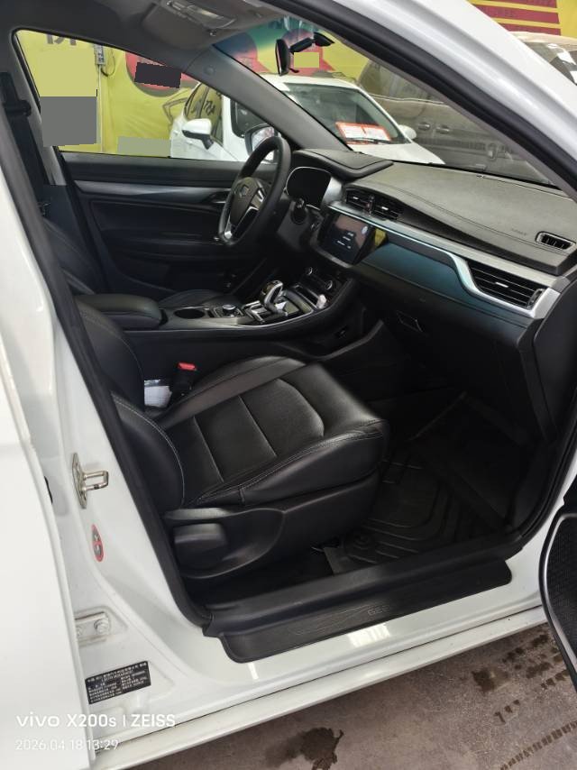 GEELY Emgrand New Energy 2019 car image #6