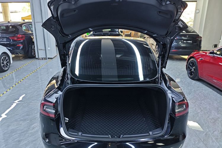 Tesla Model 3 2020 #19 Tesla Model 3 2020 car image #19