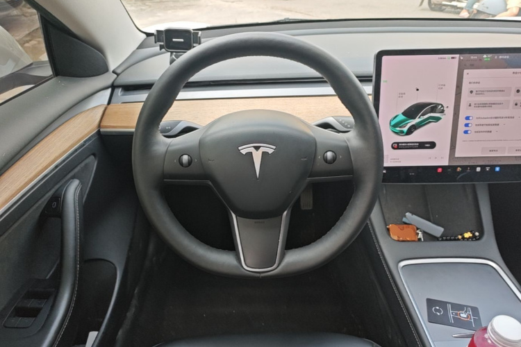 Tesla Model 3 2021 #11 Tesla Model 3 2021 car image #11