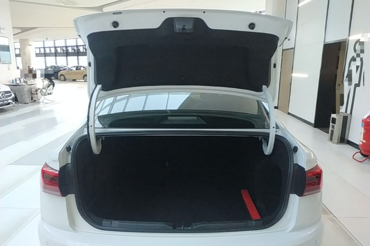 Volkswagen Bora 2021 car image #19
