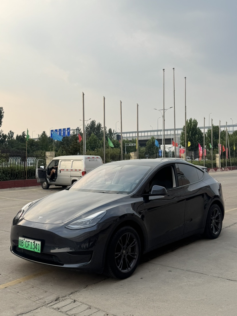 Tesla Model Y 2024 car image 