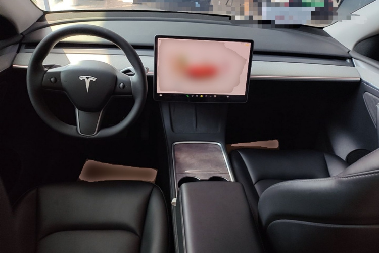 Tesla Model Y 2024 car image #10