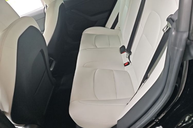 Tesla Model 3 2021 car image #17