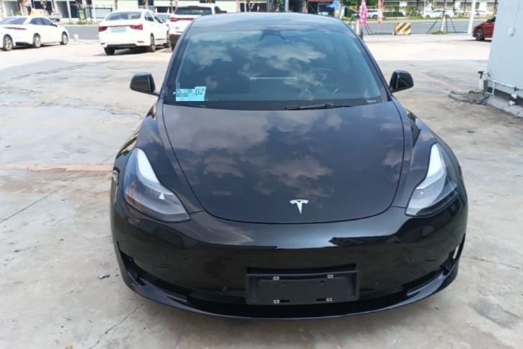 Tesla Model 3 2021 #3 Tesla Model 3 2021 car image #3