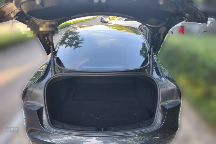 Tesla Model 3 2024 #21 Tesla Model 3 2024 car image #21