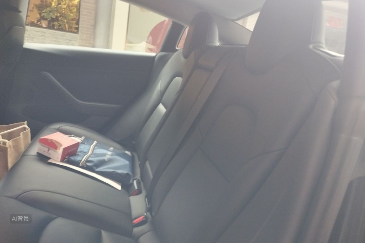 Tesla Model 3 2022 car image #19