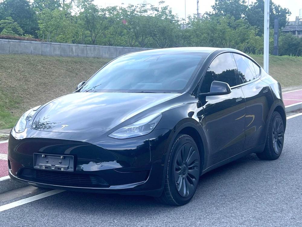 Tesla Model Y 2021 Tesla Model Y 2021 car image